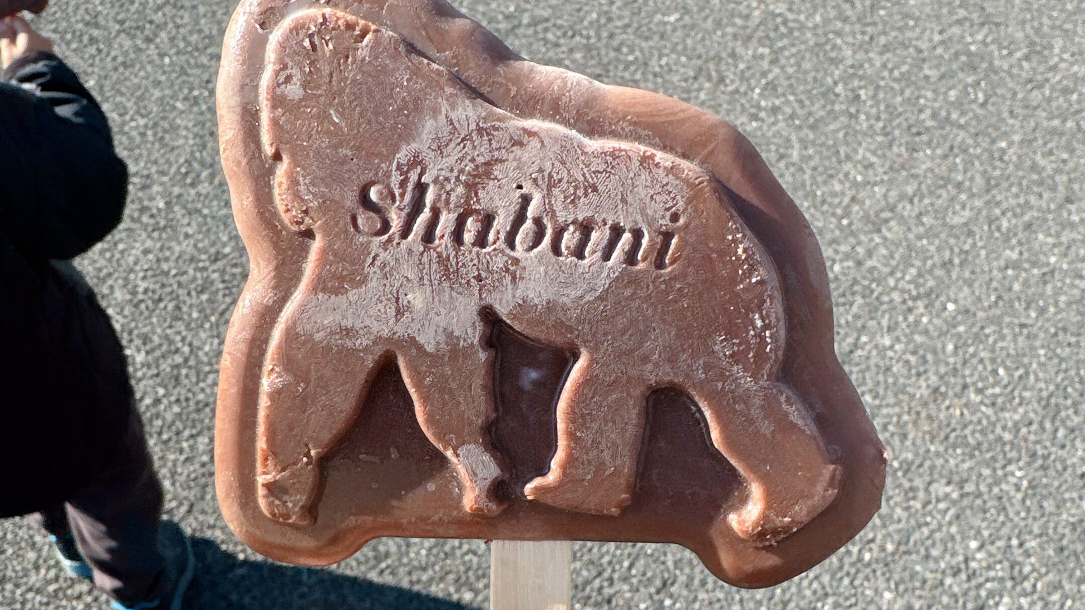 東山動物園のシャバーニのアイス