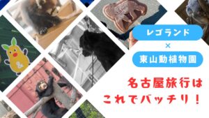 レゴランド×東山動植物園｜名古屋旅行アイキャッチ